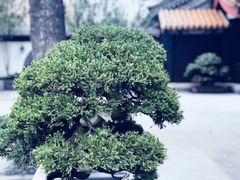 -和敬公主府