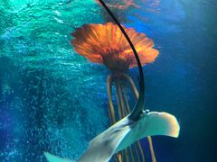 -沈阳海洋探索中心