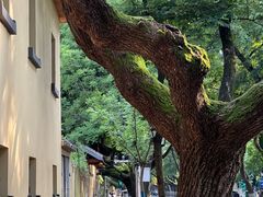 -颐和路民国时期公馆风貌区