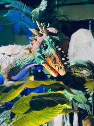 -恐龙探索乐园(磁器口店)