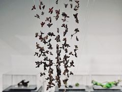 -中国美术学院象山校区-民艺博物馆