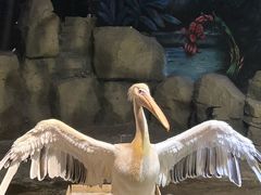 -绿色星球动物主题公园