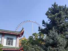 -哈尔滨极乐寺
