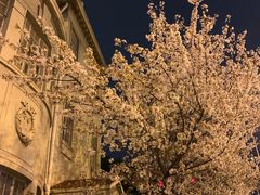 -上海市静安区图书馆(新闸路馆)