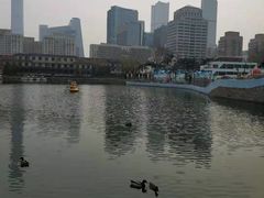 -团结湖公园