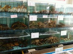 -海岛渔村大酒店(云霄路店)