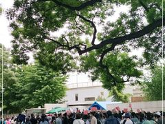 -北京八中游泳馆