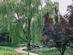 -元大都城垣遗址公园