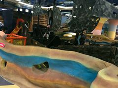 -绍兴梦享海洋公园