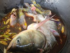 -小赖鱼馆