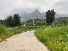 -雾灵西峰