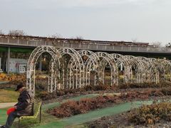 -上海浦江郊野公园·1号停车场