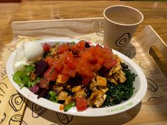 -油梨树 AVOCADO TREE(亮马桥店)