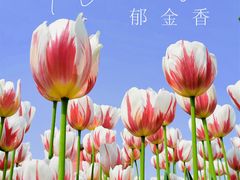 -大宁公园