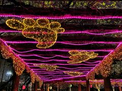 -锦江乐园舞狸花花游园会(夜场专享)