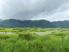 -腾冲北海湿地