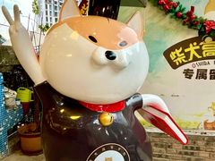 -柴犬高等学院·狗咖·柴犬售卖·宠物训练