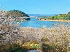 -广州市流溪河国家森林公园