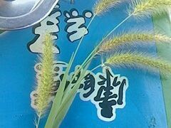 -苏州海洋馆