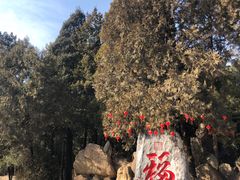 -潭柘寺景区
