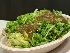 -油梨树 AVOCADO TREE(亮马桥店)