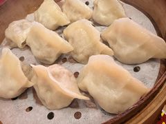 西葫芦蒸饺-老边饺子馆(中街店)