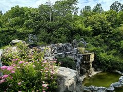-上海吴淞炮台湾国家湿地公园