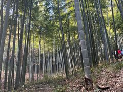 -莫干山风景区