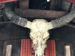-海南槟榔谷黎苗文化旅游区
