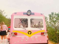 -小南山公园