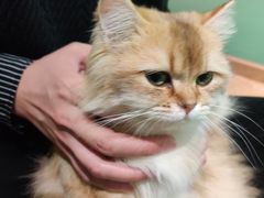 -柯斗斗主题餐厅·狗咖·围炉煮茶·茶饮(国瑞升平里店)