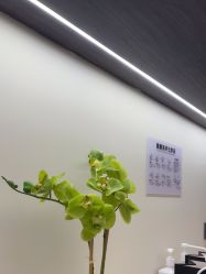 -CRAIE可瑞医美式医美·111SKIN