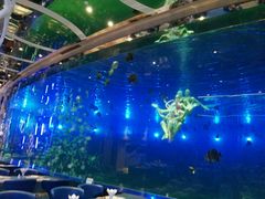 -瑞德姆美人鱼海底演艺主题餐厅(亚龙湾店)