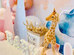 -瑞贝生日派对宝宝宴策划