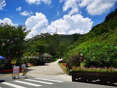 -广州白江湖森林公园