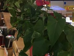 -蛙一刀·麻椒鱼火锅(金仙桥店)
