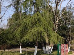 -大蜀山国家森林公园