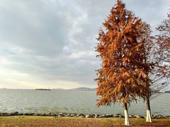 -苏州东太湖生态园
