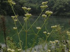 -会稽山峡洞漂流-上青古道