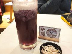 -滚猫咖啡·猫咖·猫友好撸猫(未来城店)