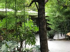 -香园自助小火锅