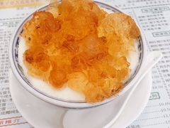 桃胶双皮奶-仁信老铺(华盖路店)