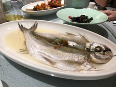 清蒸太湖白鱼-鱼食饭稻·苏浙土菜17年老馆子(平江路店)