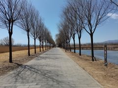 -野鸭湖国家湿地公园