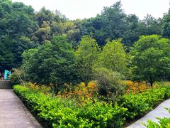 -上海佘山国家森林公园天马山园