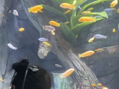 -常州海昌海洋探索馆