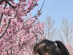 -郑州植物园