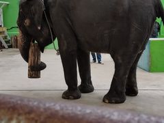 -大连森林动物园