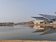 -盐城丹顶鹤湿地生态旅游区