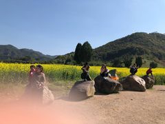 -新建村梅花